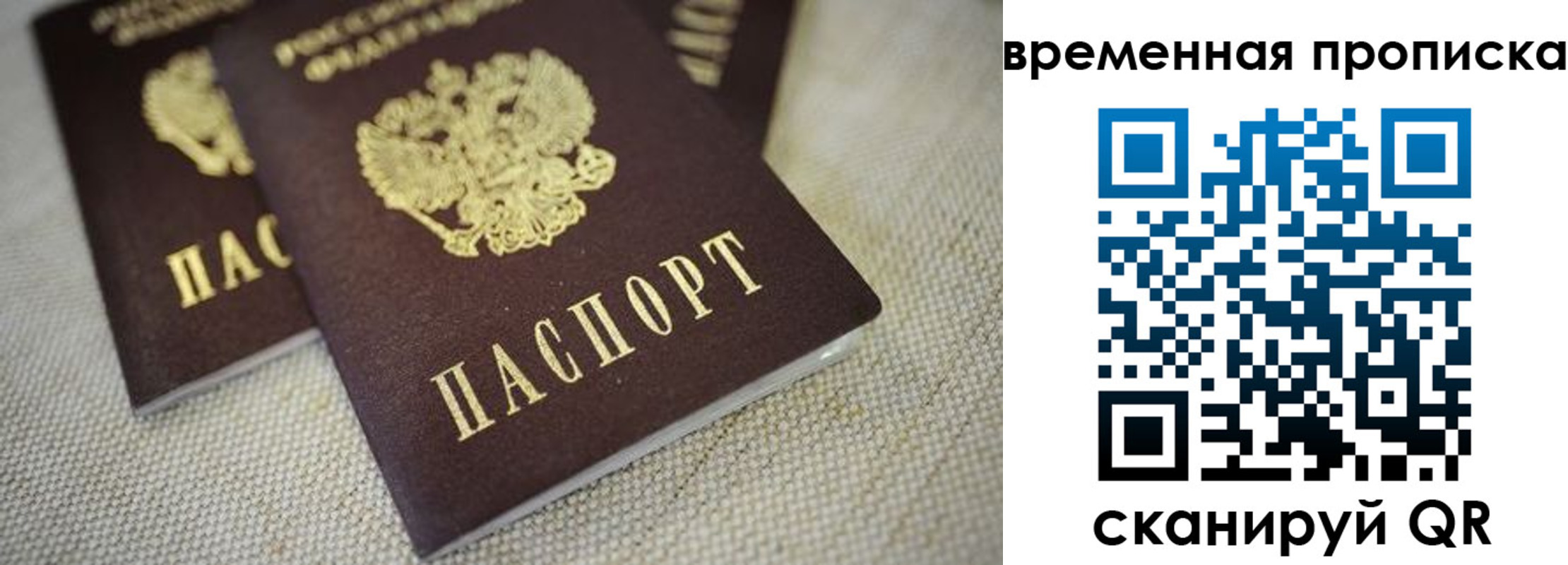 прописка для школы в Шагонаре
